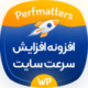 افزونه افزایش سرعت perfmatters | پلاگین perfmatters اخرین اپدیت
