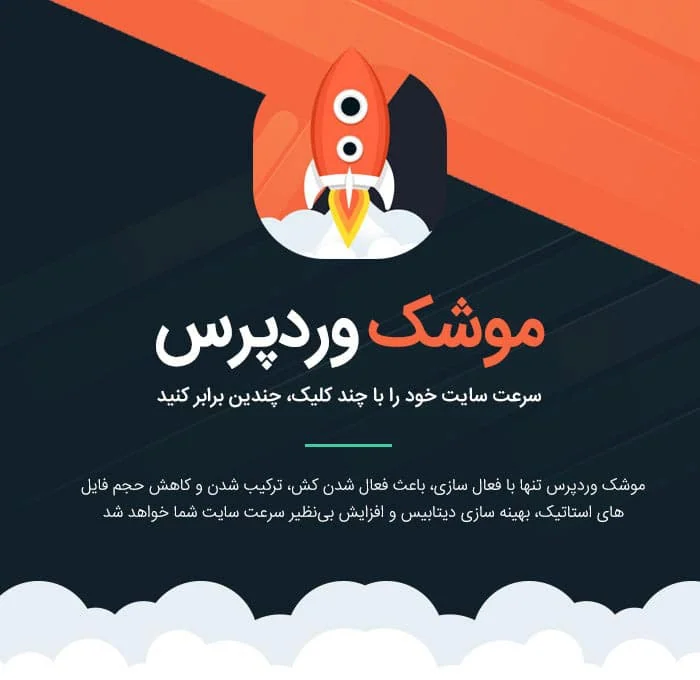 دانلود افزونه راکت 🚀 پلاگین افزایش سرعت WP ROCKET – اخرین اپدیت
