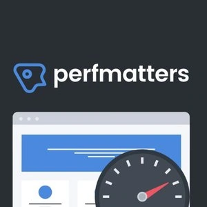 افزونه افزایش سرعت perfmatters | پلاگین perfmatters اخرین اپدیت